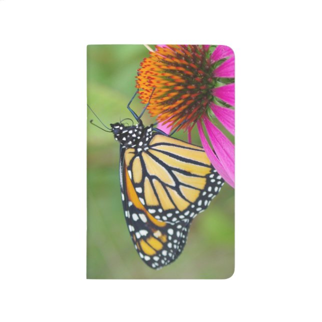 Journal de papillon de monarque (Devant)
