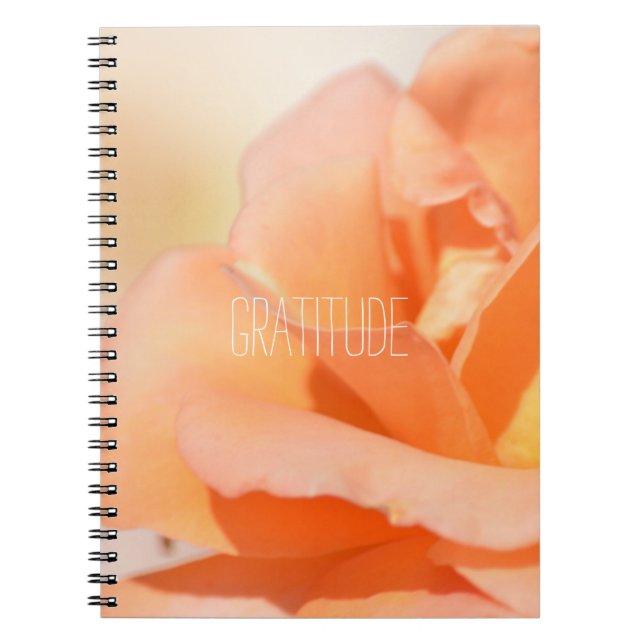 Journal de reconnaissance (Devant)