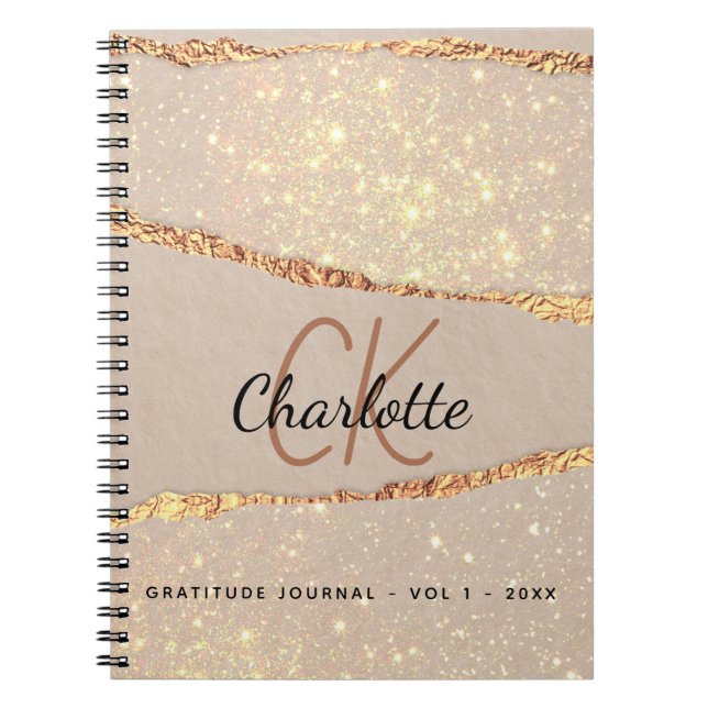 Journal de reconnaissance rose or parties scintill (Devant)