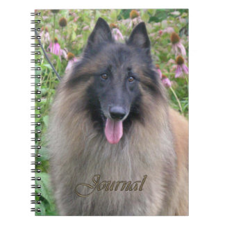 Journal de Tervuren de Belge