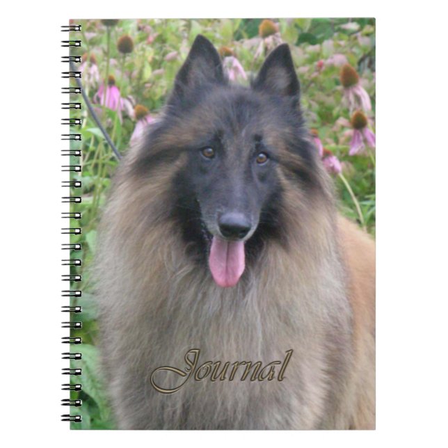 Journal de Tervuren de Belge (Devant)