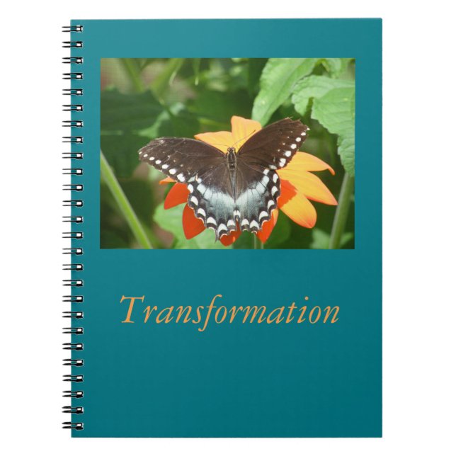 Journal de transformation (Devant)