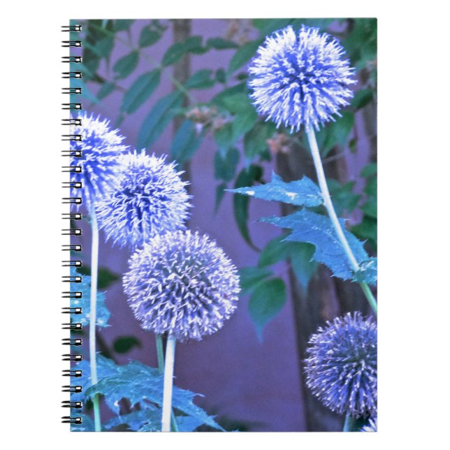 journal d'écriture (Devant)