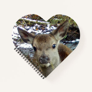 Journal d'écriture de faon des bois bébé adorable