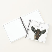 Journal des baisers papillon