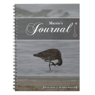 Journal des lignes Sandpiper