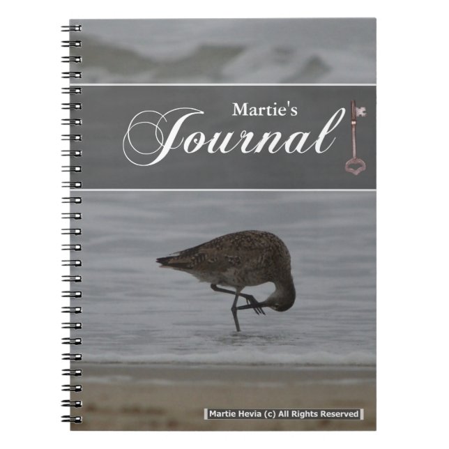 Journal des lignes Sandpiper (Devant)