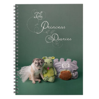 Journal des princes - Carnet Carlin
