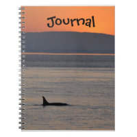 Journal d'orque de coucher du soleil