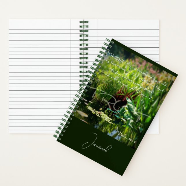 Journal du bouclier (À l'intérieur)
