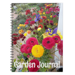 Journal du jardin Rannunculus Fleurs de printemps 