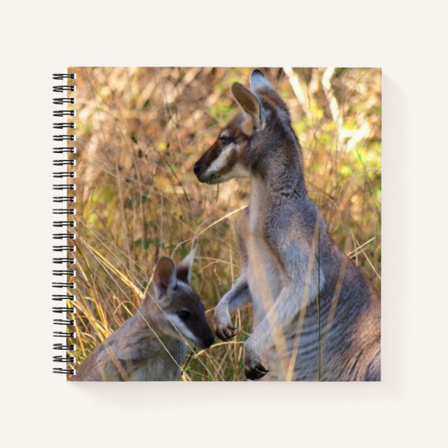 Journal featuring koala and wallabies in Australia (Front)