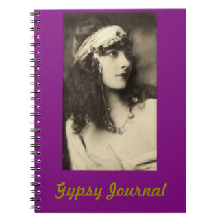 Journal gitan avec la beauté vintage dans le