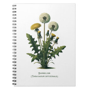 Journal Herbal de Pissenlit Jaune