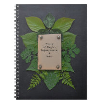 Journal intime des superpuissances