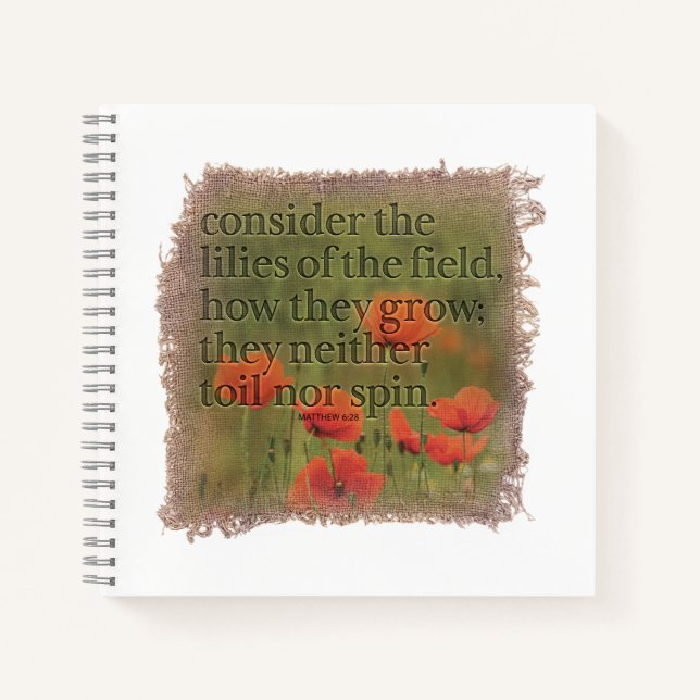 Journal MATTHIEU 6:28 (Devant)