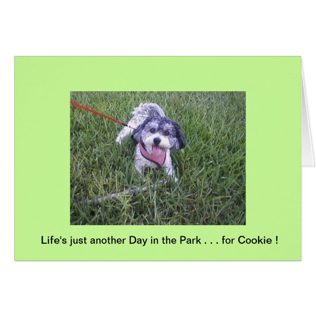 Journée dans le parc (Devant horizontal)