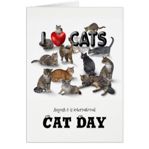 Journée internationale du chat