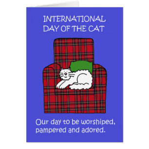 Journée internationale du chat août