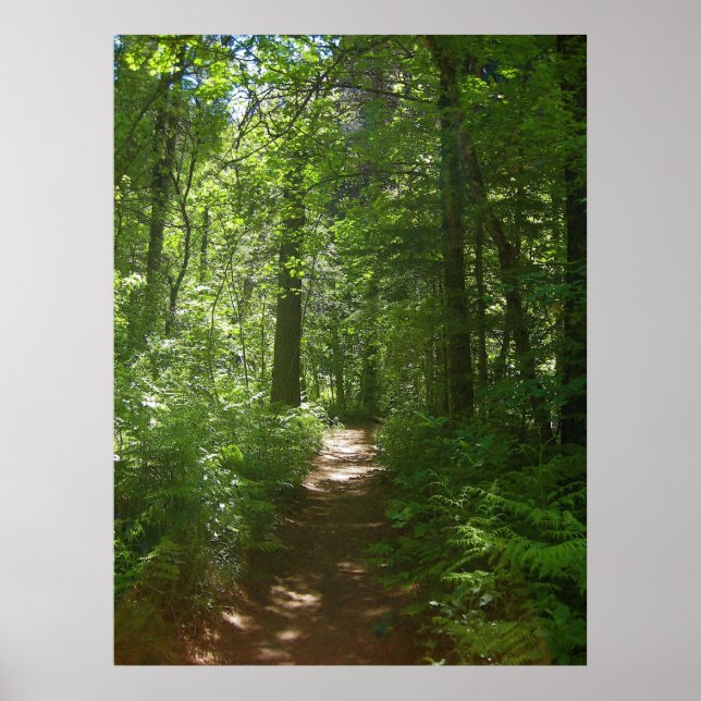 Journées d'été (6) Affiche (Devant)