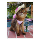 Jours d'été comportant l'été le chat