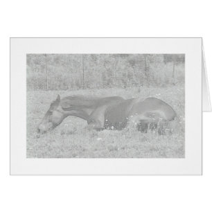 Jours d'été paresseux