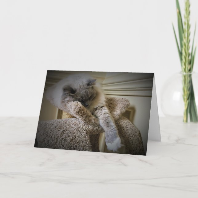 Jours lents, carte (Devant)