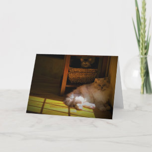 Jours lents, carte