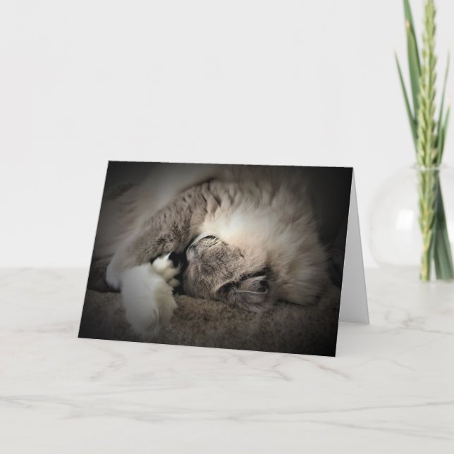 Jours lents, carte (Devant)