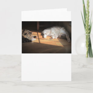 Jours lents, carte