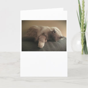 Jours lents, carte
