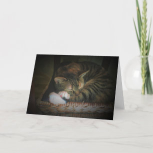 Jours lents, carte