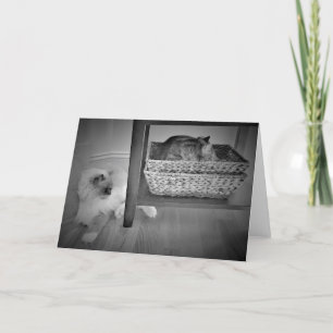 Jours lents, carte