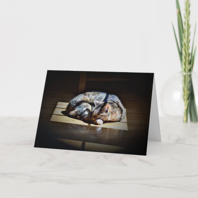 Jours lents, carte (Devant)