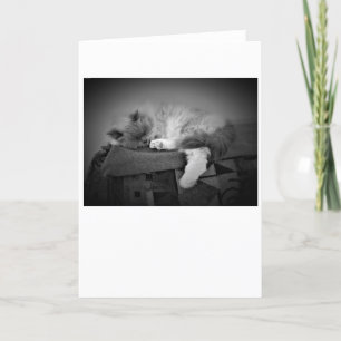 Jours lents, carte