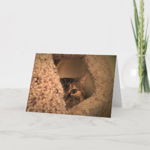 Jours lents, carte