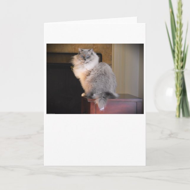 Jours lents, carte (Devant)