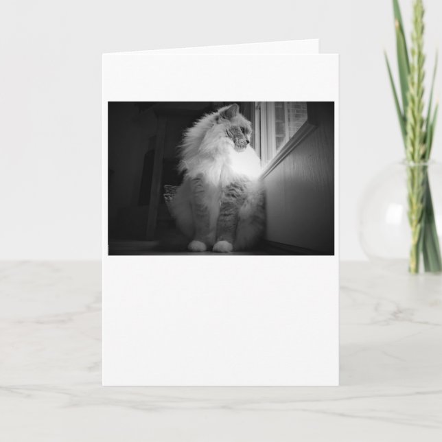 Jours lents, carte (Devant)