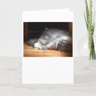 Jours lents, carte