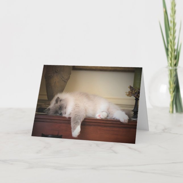 Jours lents, carte (Devant)