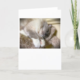 Jours lents, carte
