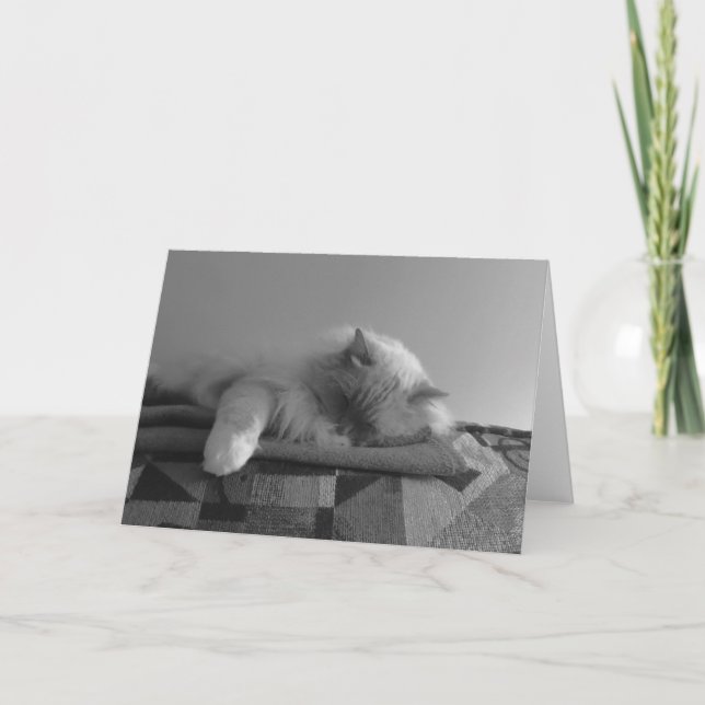 Jours lents, carte (Devant)