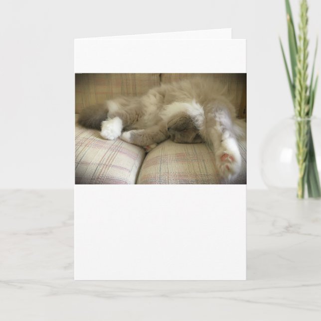 Jours lents, carte (Devant)