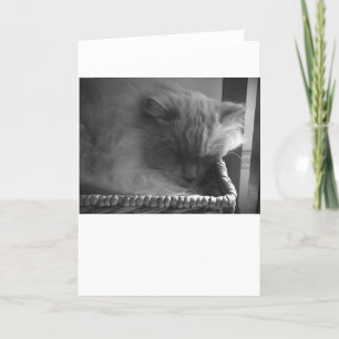 Jours lents, carte
