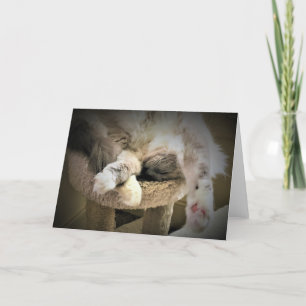 Jours lents, carte