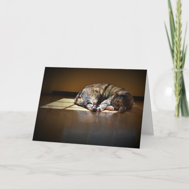 Jours lents, carte (Devant)