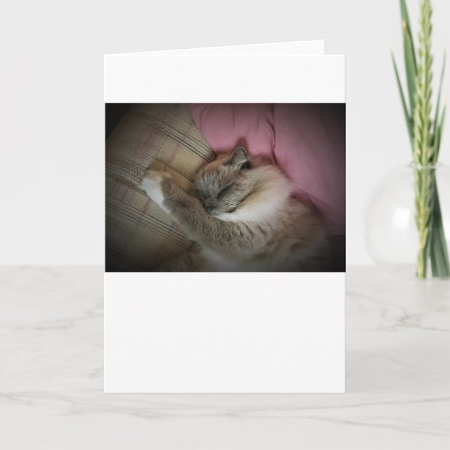 Jours lents, carte (Devant)