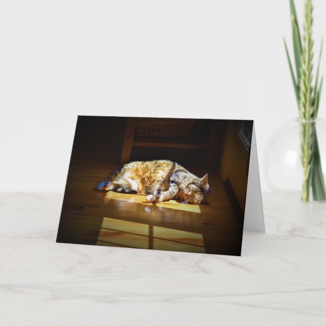 Jours lents, carte (Devant)