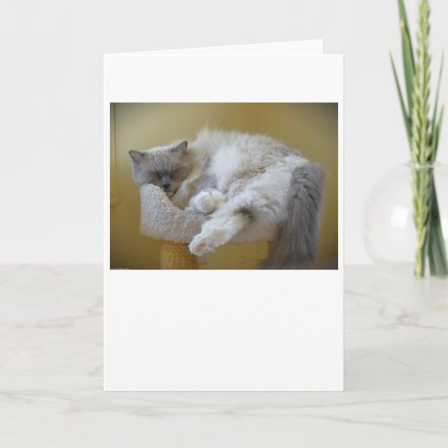 Jours lents, carte (Devant)