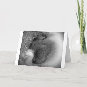 Jours lents, carte